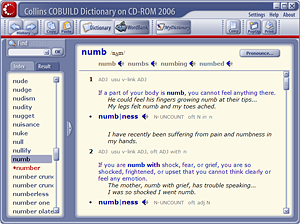 screenshot from the dictionary