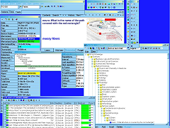 screenshot of SuperMemo 2004 showing many windows