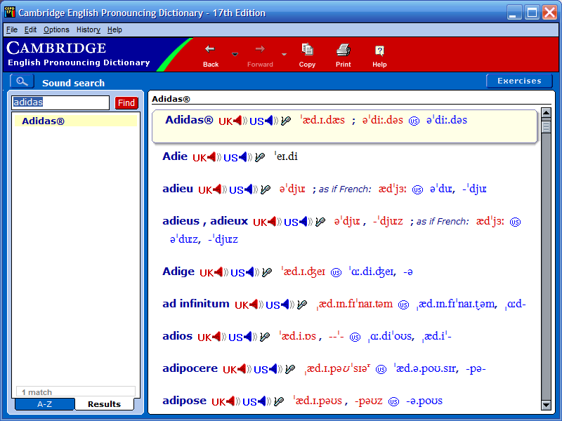 E-BOOK  définition en anglais - Cambridge Dictionary